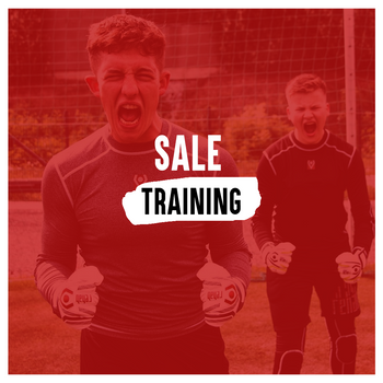 Sale Training