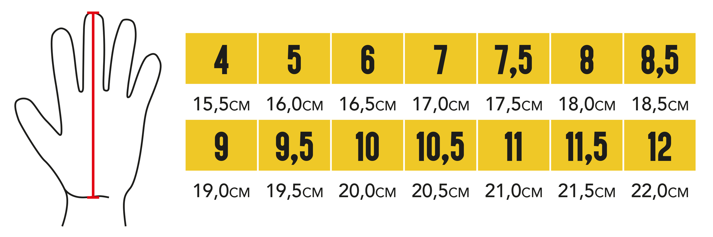 Tabella 2025 taglie guanti