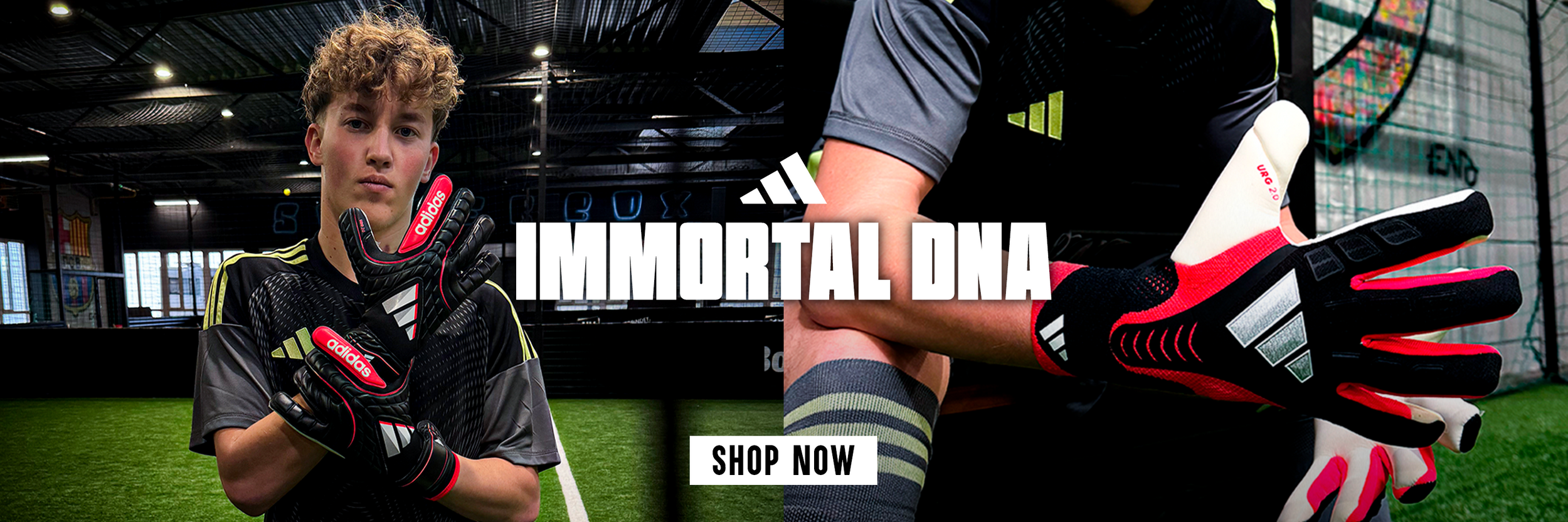 immortal dna