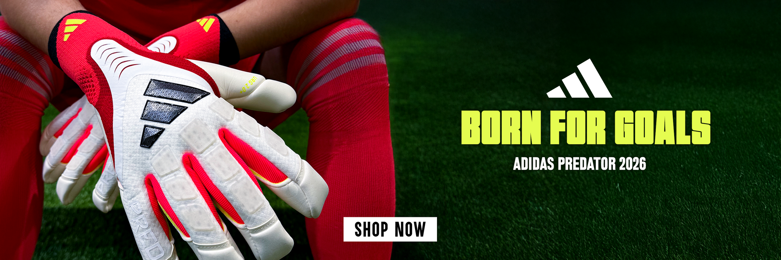 adidas born for goals