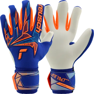 Reusch Attrakt Freegel Advance