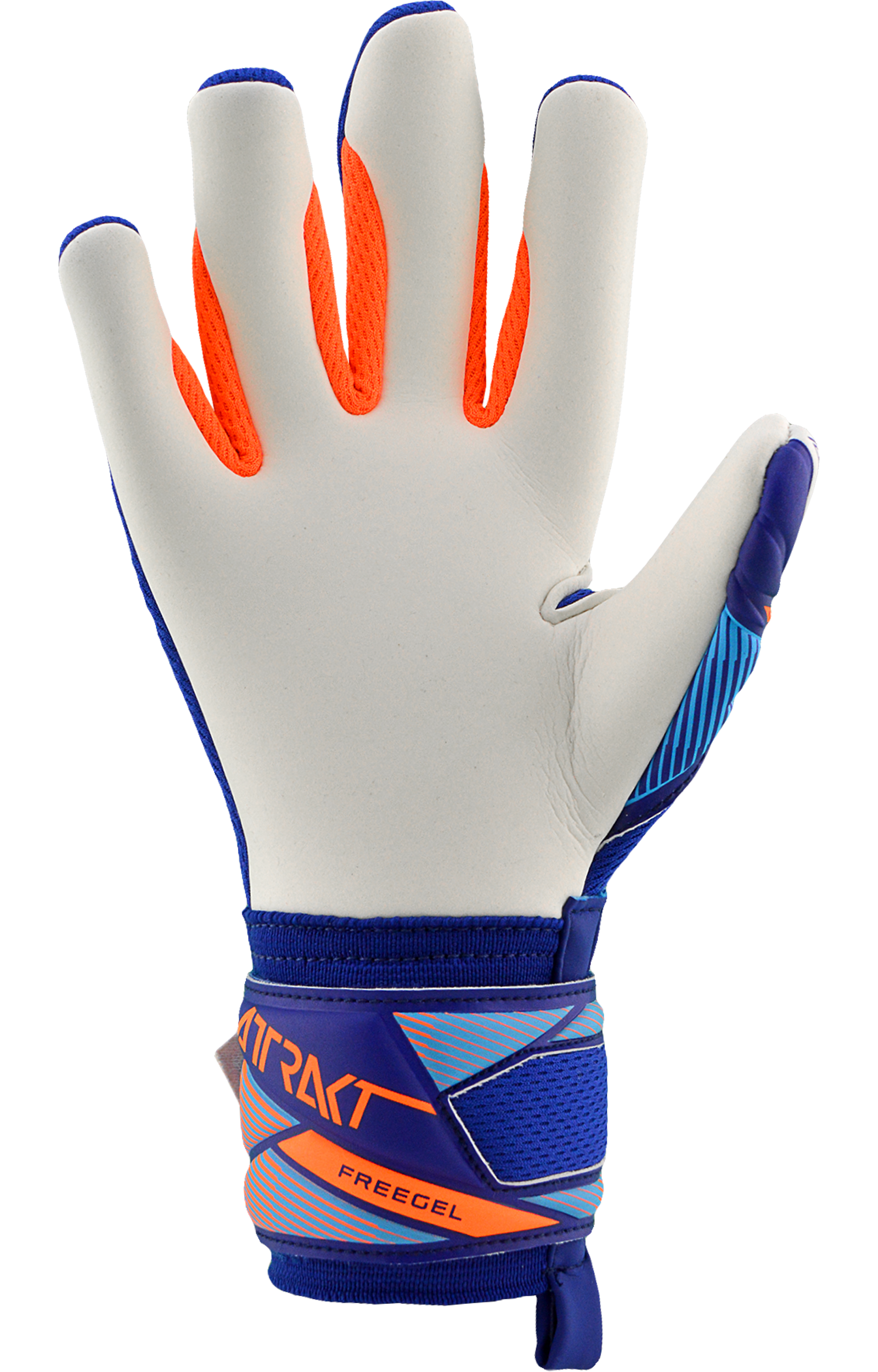 Reusch Attrakt Freegel Advance Junior - Image 4
