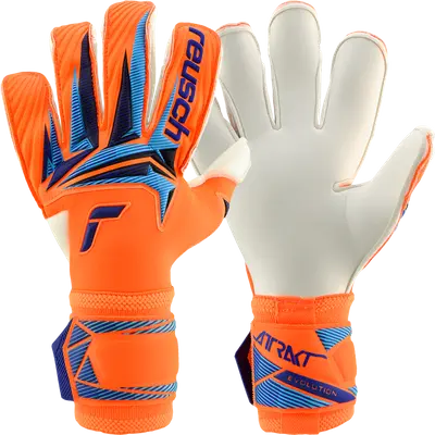 Reusch Attrakt Gold X Evolution World Cup