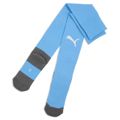 PUMA TeamLIGA 26 Socks