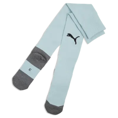 PUMA TeamLIGA 26 Socks