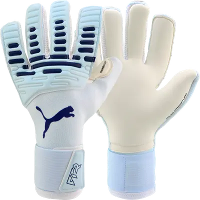 PUMA Future Pro Hybrid