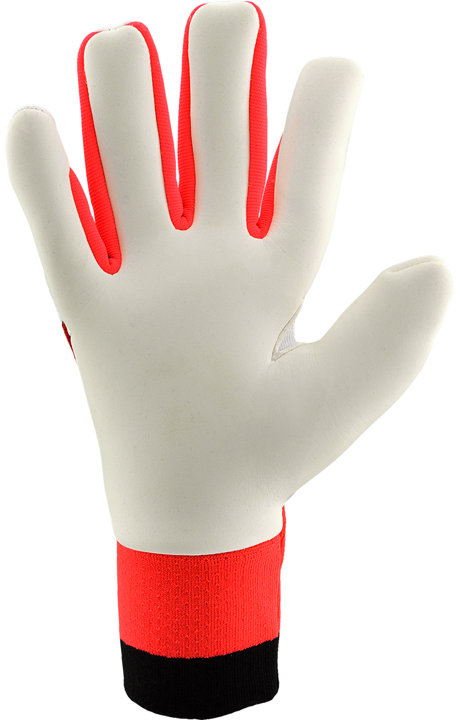 Adidas Predator Pro Born for Goals - Image 4