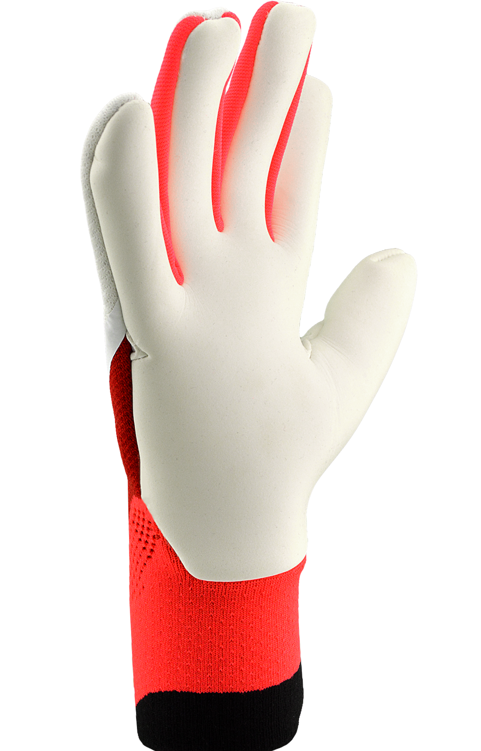 Adidas Predator Pro Born for Goals - Image 2