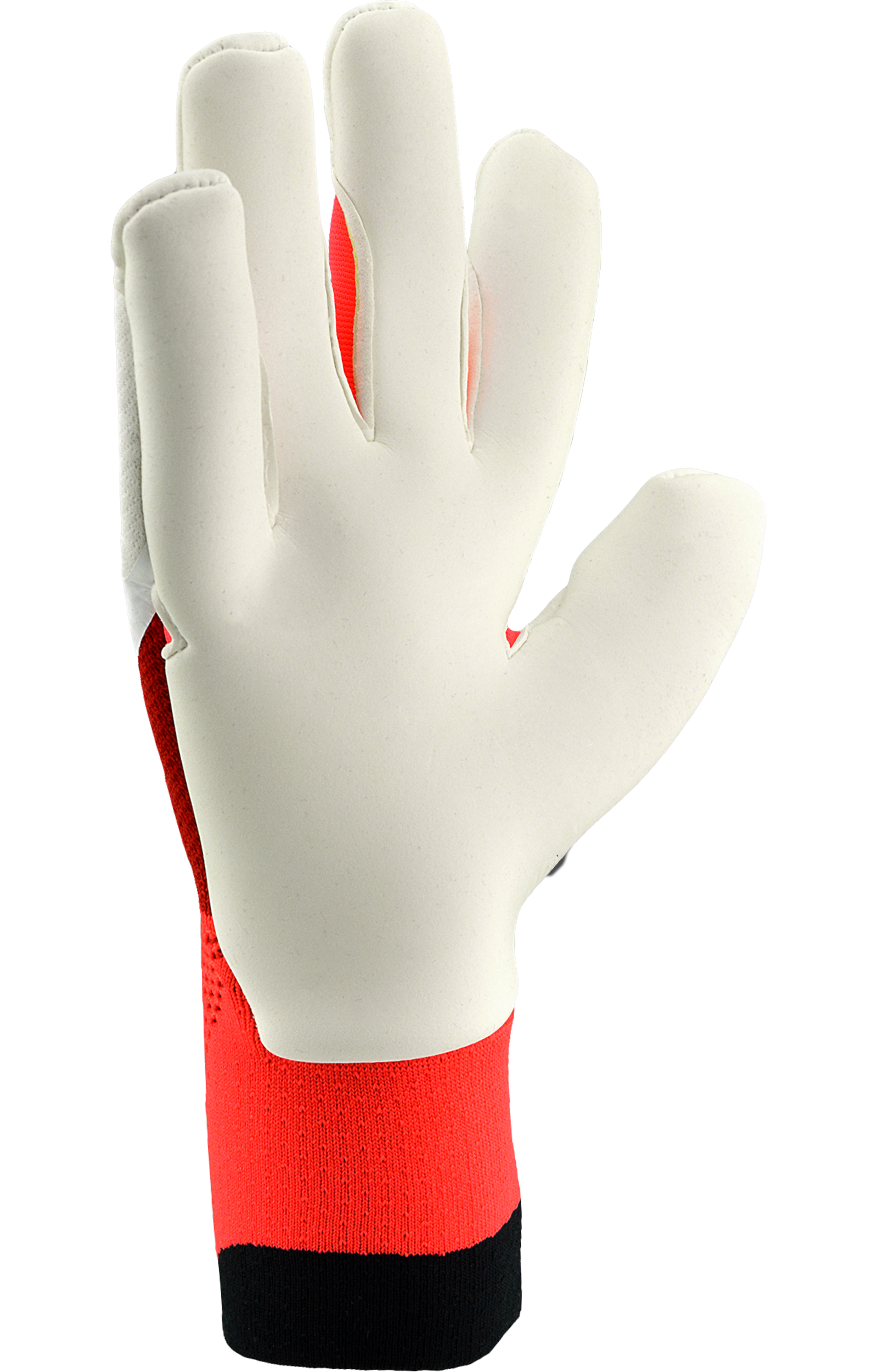 Adidas Predator Pro Hybrid Born for Goals - Image 2