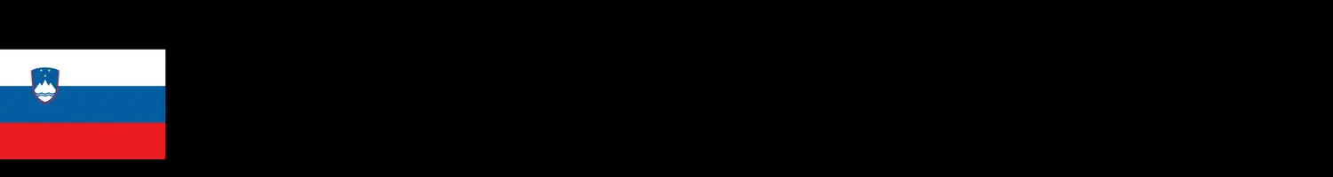 CE SI
