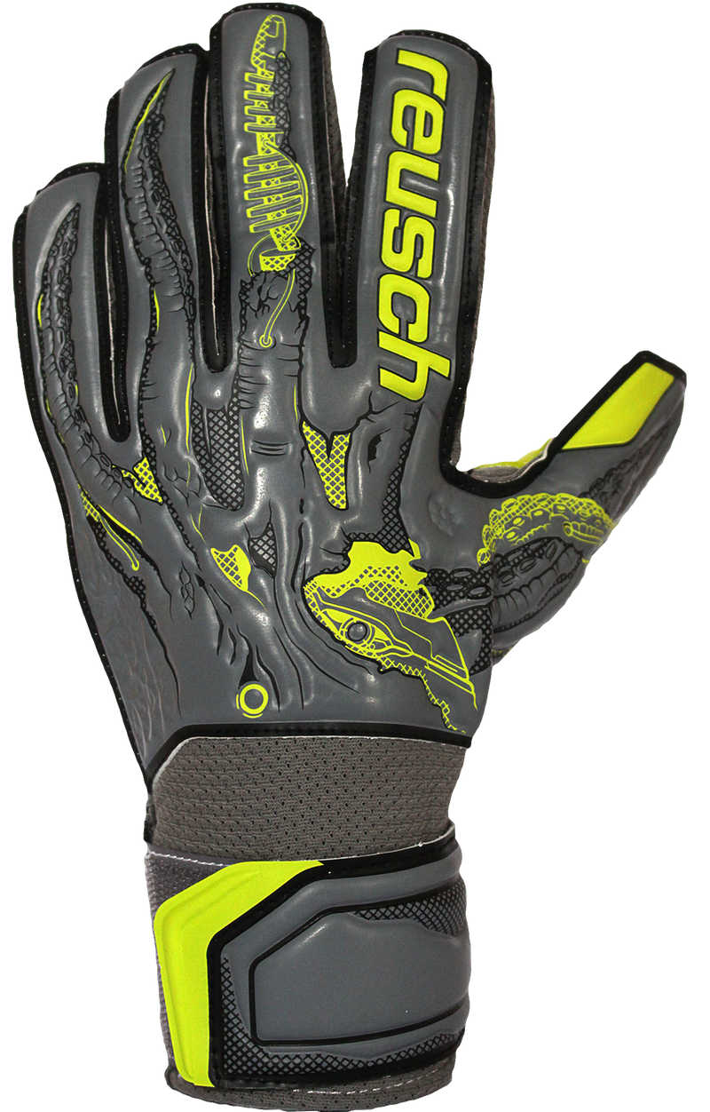 Reusch cheap x ray