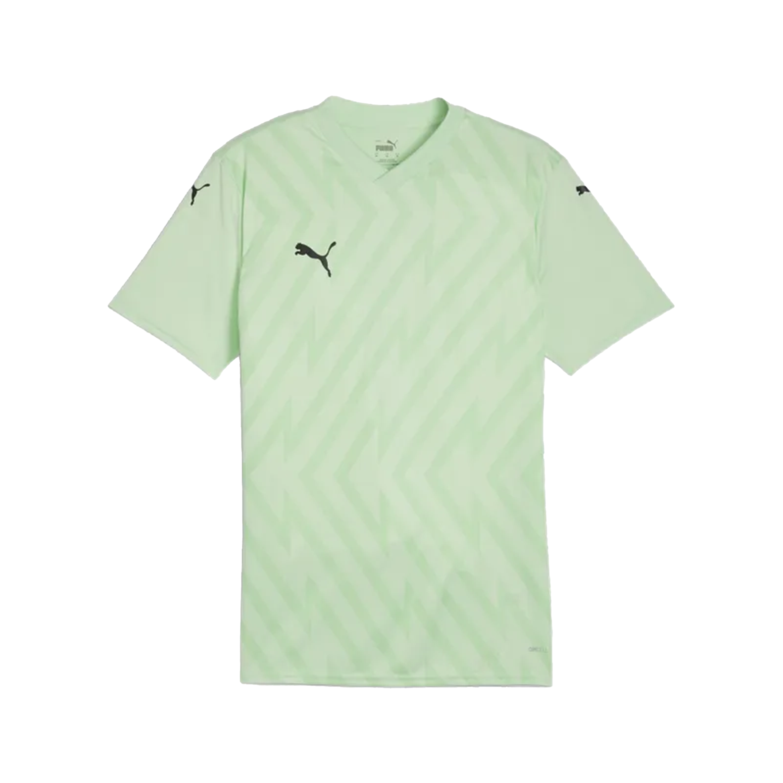 PUMA teamGLORY Shirt