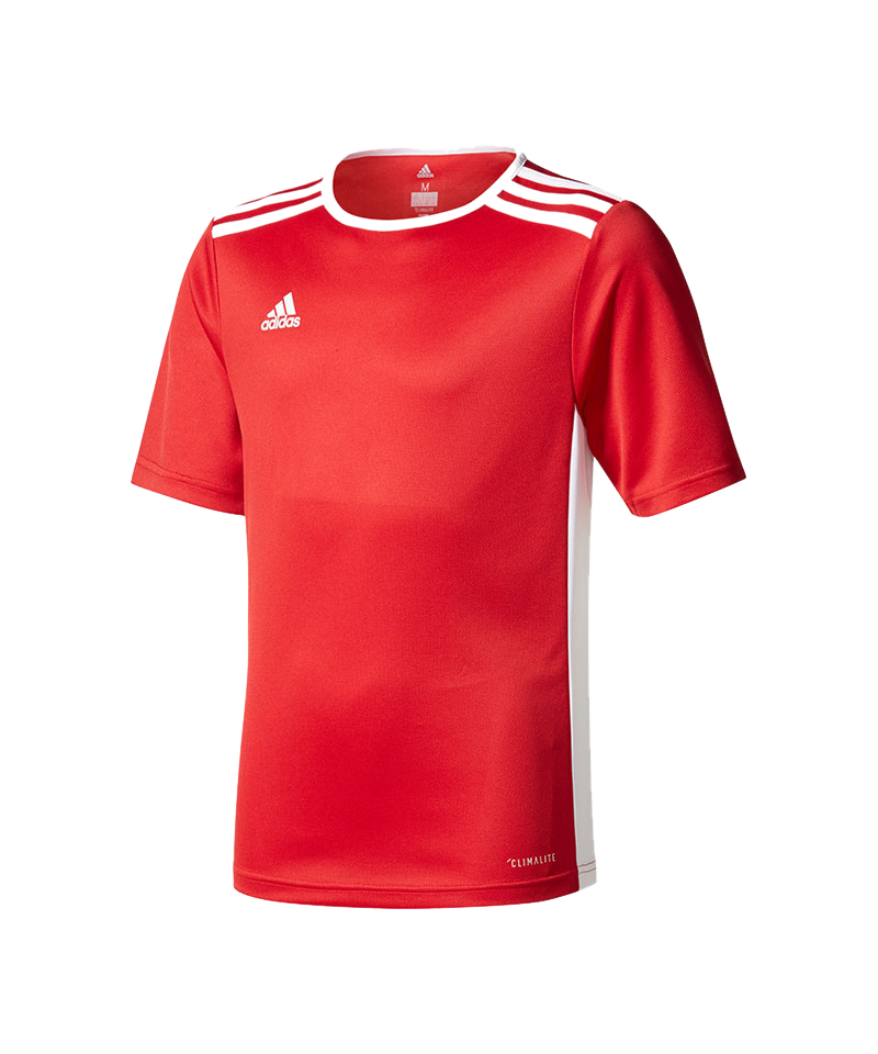 Adidas entrada 18 jersey youth size chart on sale