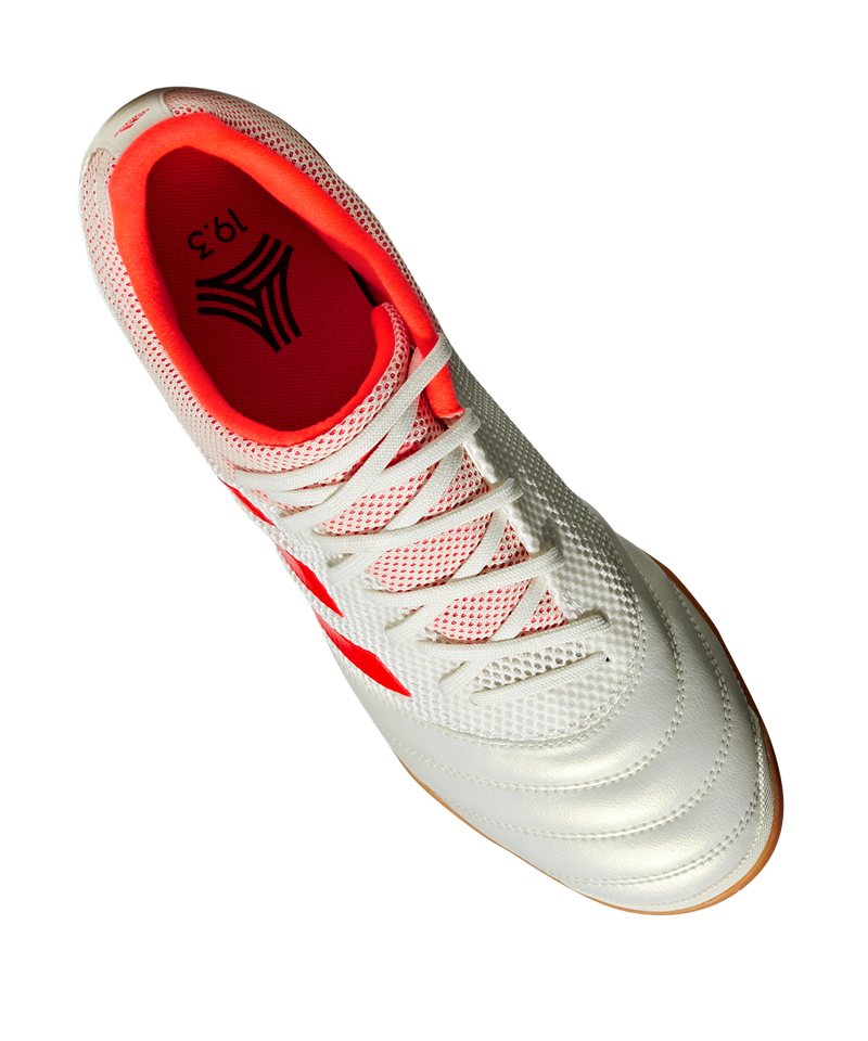 copa 19.3 indoor sala shoes