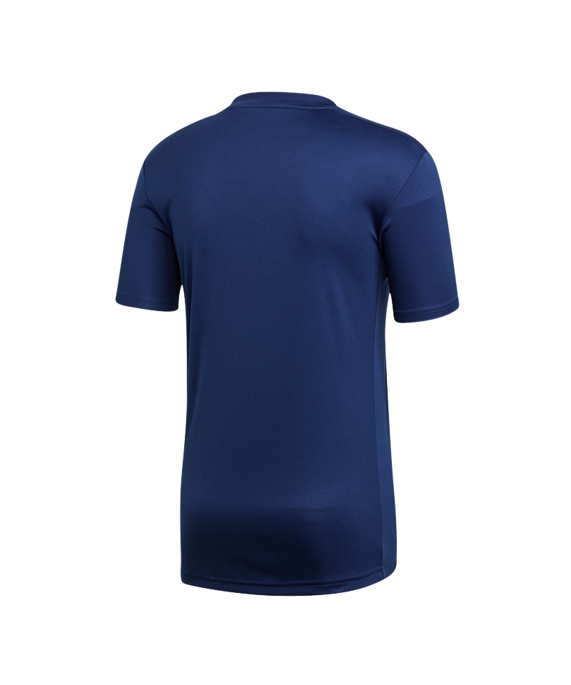 Adidas Entrada 22 Jersey in Blue - Youth M