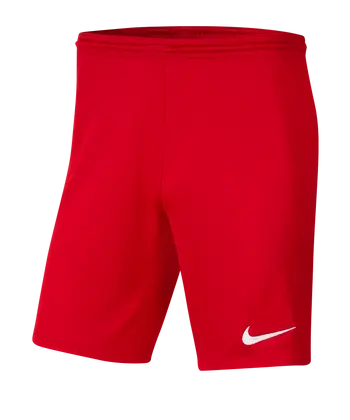 Nike Park III Short