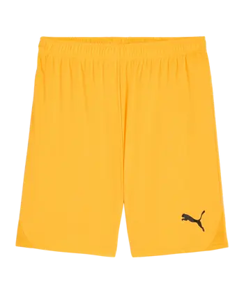 PUMA teamGOAL Short