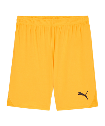 PUMA teamGOAL Short