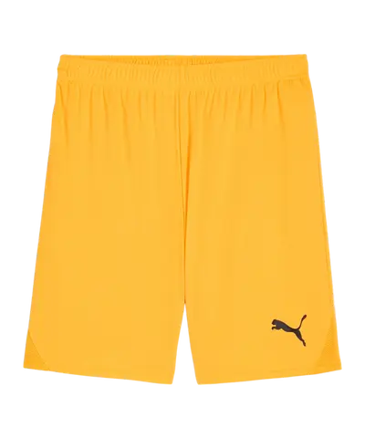 PUMA teamGOAL Short