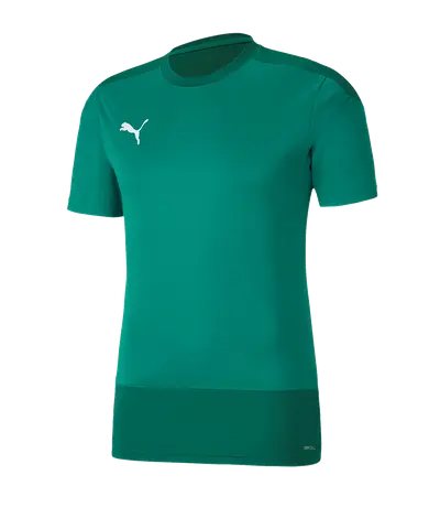 PUMA teamGOAL 23 Training Shirt