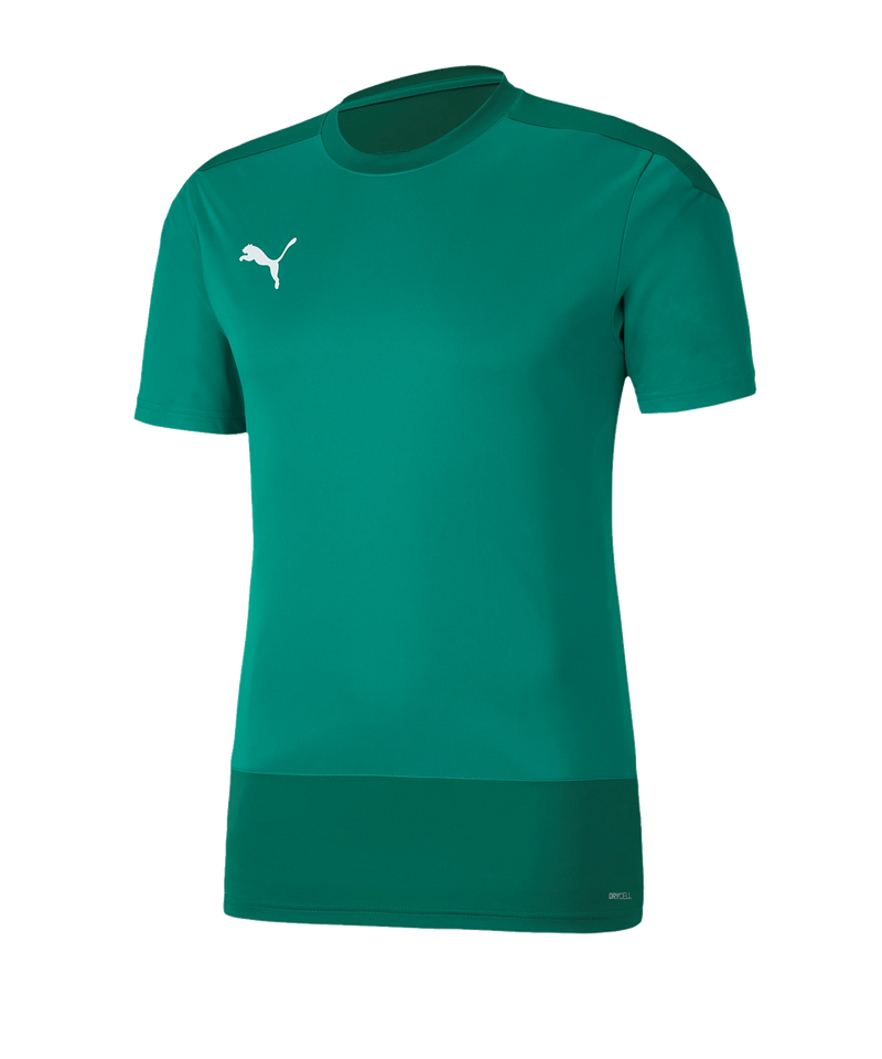 PUMA teamGOAL 23 Training Trikot Grun F Green