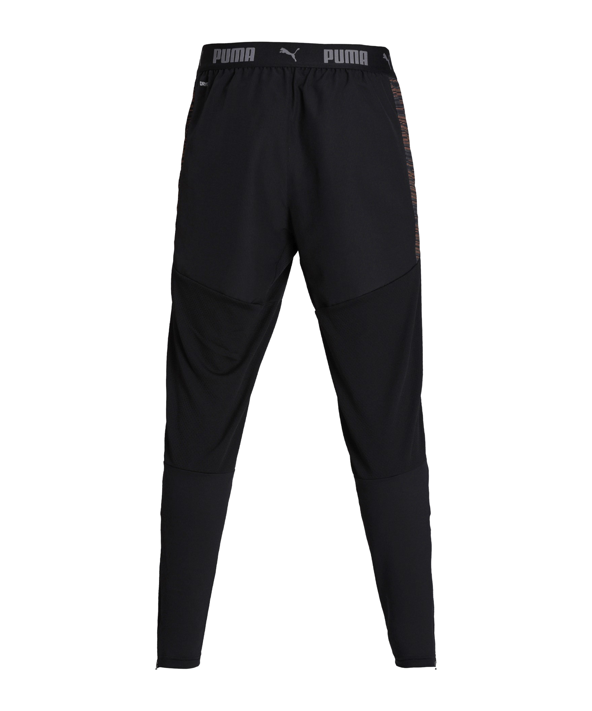 PUMA ftblNXT Pro Pants Black