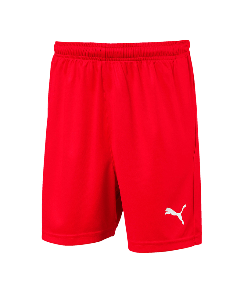 Puma liga hotsell core shorts youth