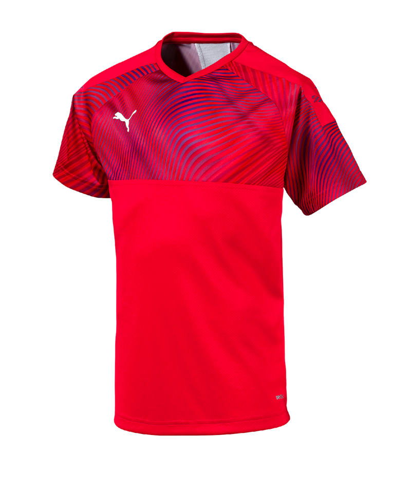 Puma 2025 cup 2019