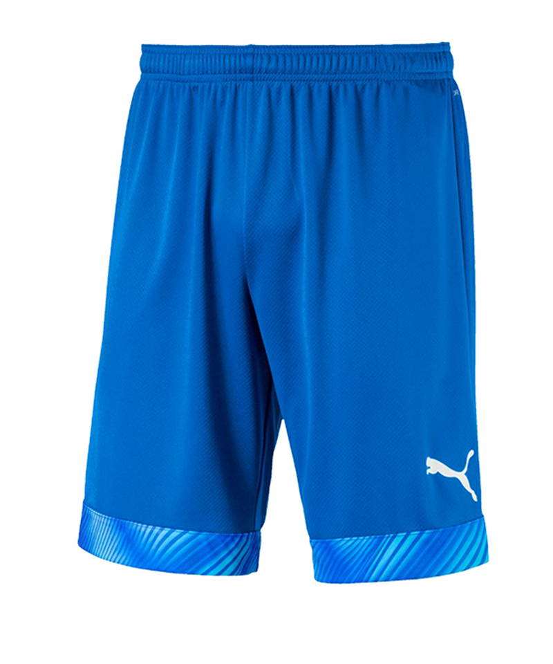 Puma 2025 cup shorts