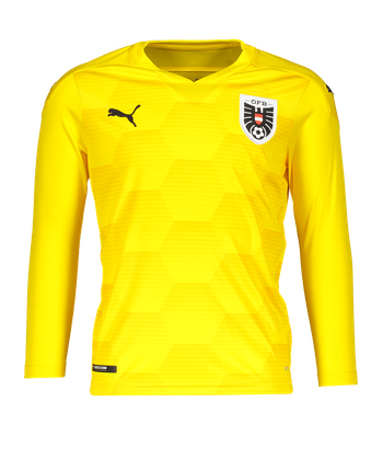 PUMA Österreich GK-Shirt EM 2021 Kids