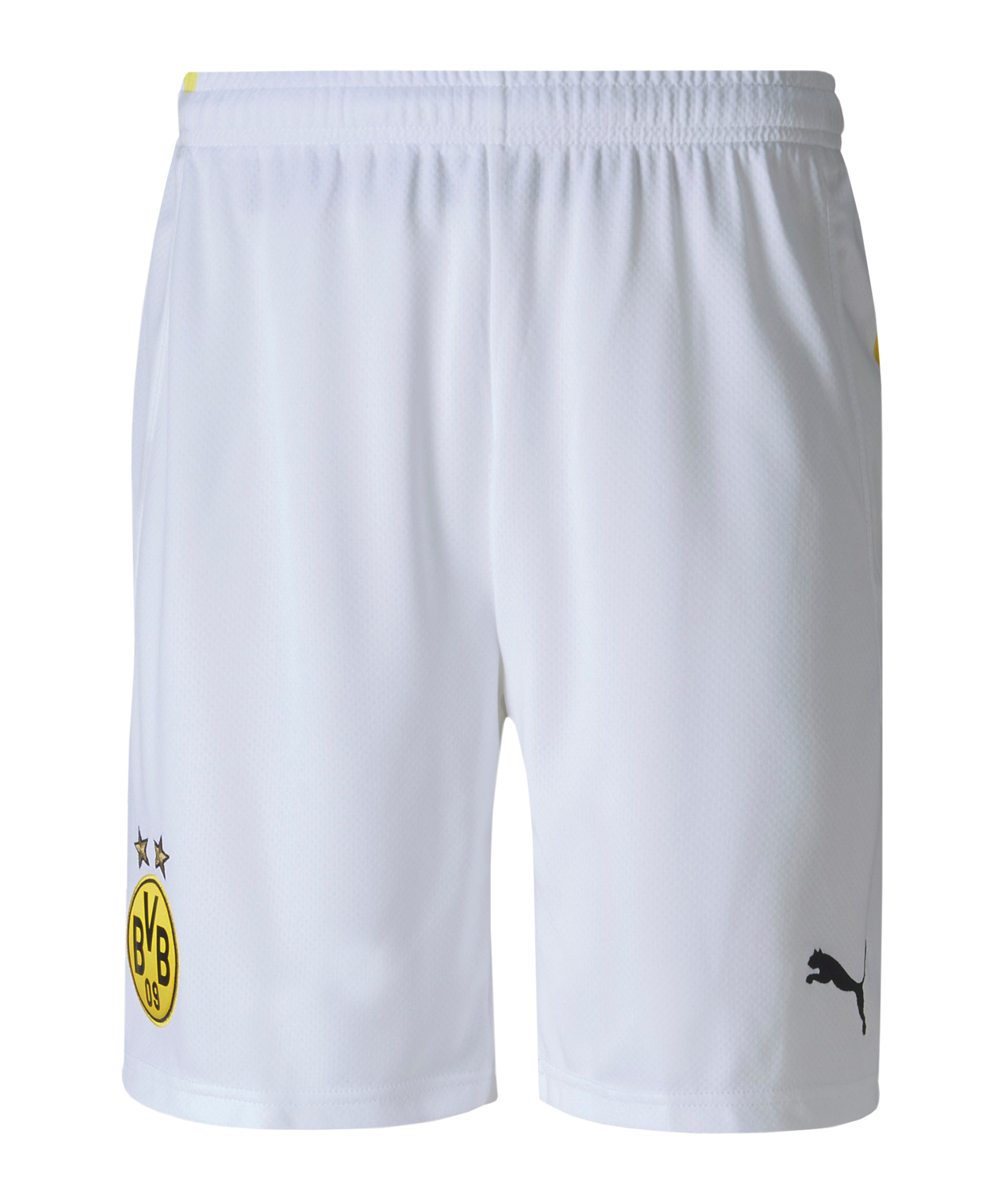 bvb shorts puma