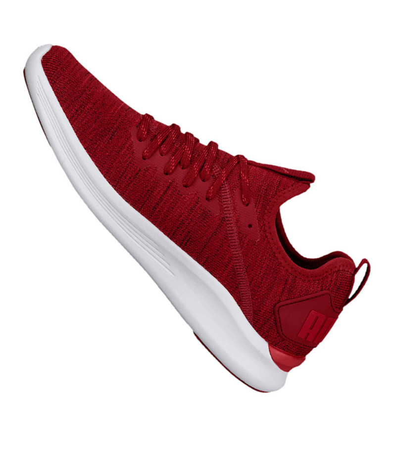 puma mens ignite flash evoknit
