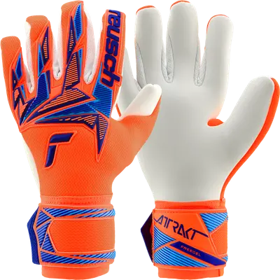 Reusch Attrakt Freegel Advance World Cup