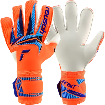 Reusch Attrakt Gold X Evolution World Cup