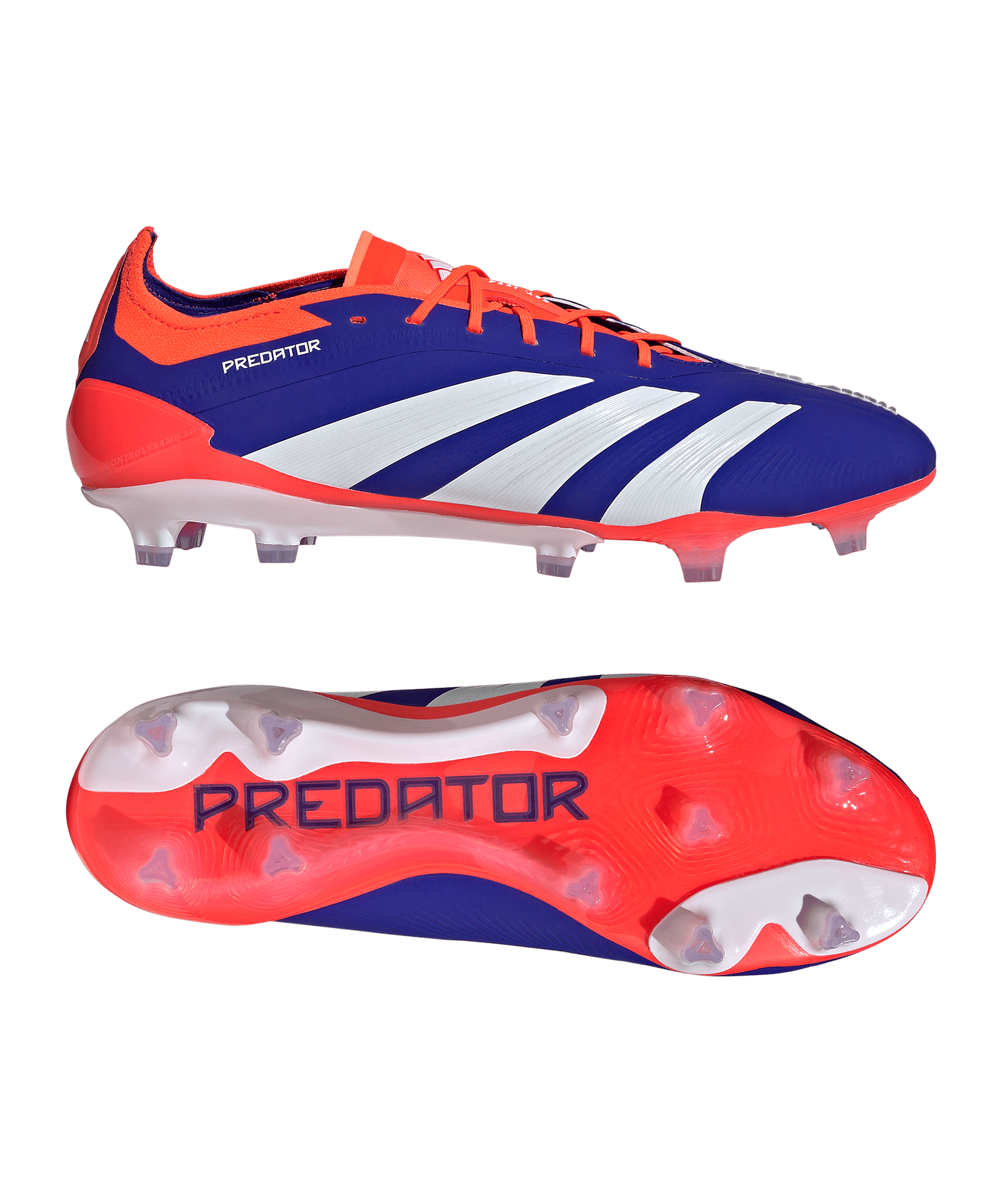 F50 predator store