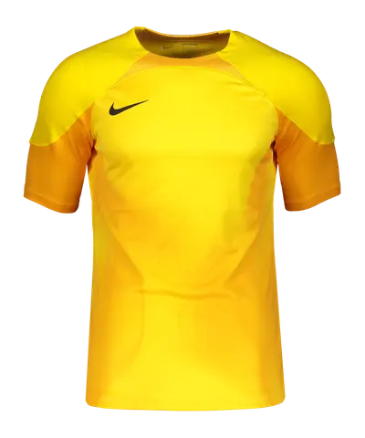 Nike Gardien IV GK-Shirt