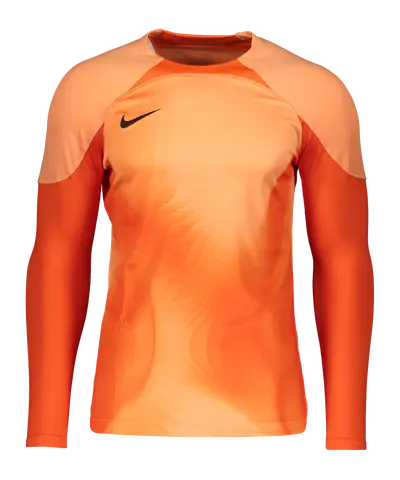 Nike Gardien IV GK-Shirt l/s