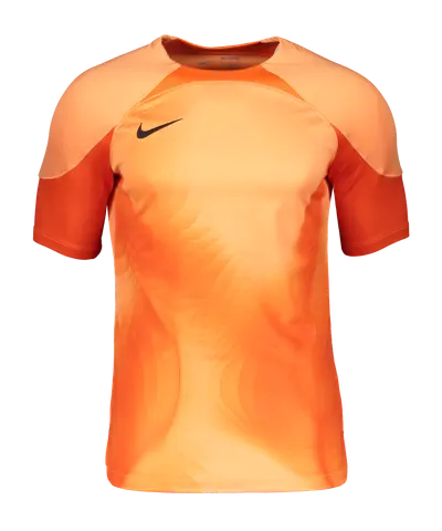 Nike Gardien IV GK-Shirt