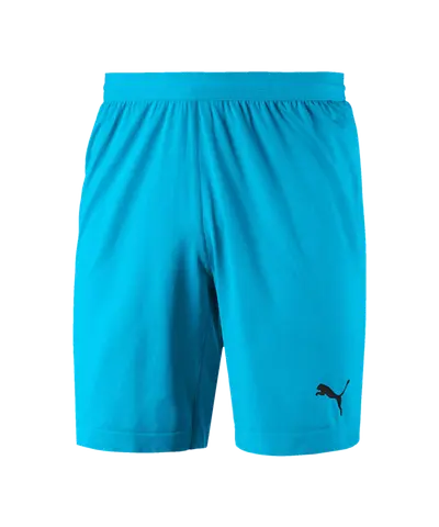 PUMA FINAL evoKNIT GK-Shorts