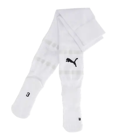 PUMA teamFINAL Socks