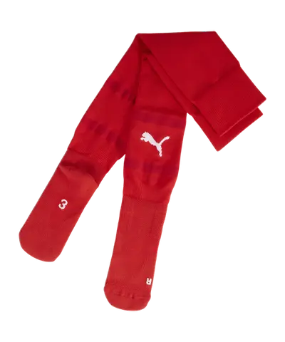 PUMA teamFINAL Socks