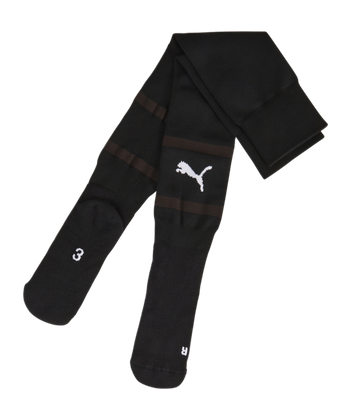 PUMA teamFINAL Socks