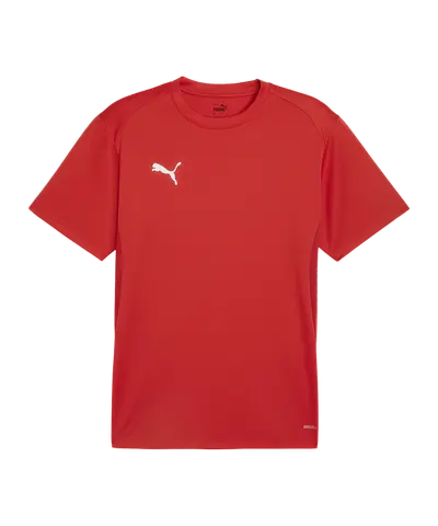 PUMA teamGOAL Shirt