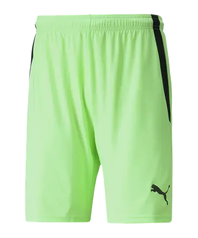 PUMA teamLIGA Short