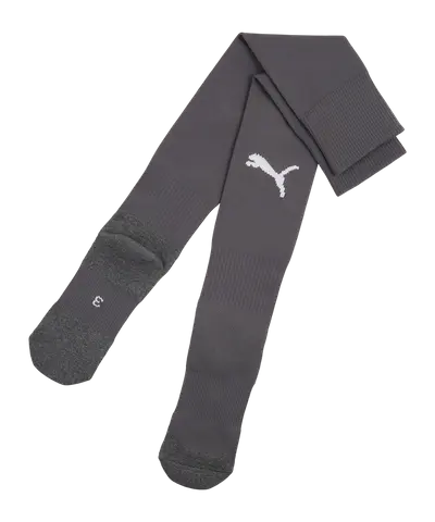 PUMA teamLIGA26 Core Socks