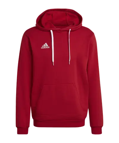 adidas Entrada 22 Hoody