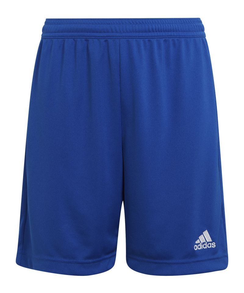 Adidas entrada shorts online