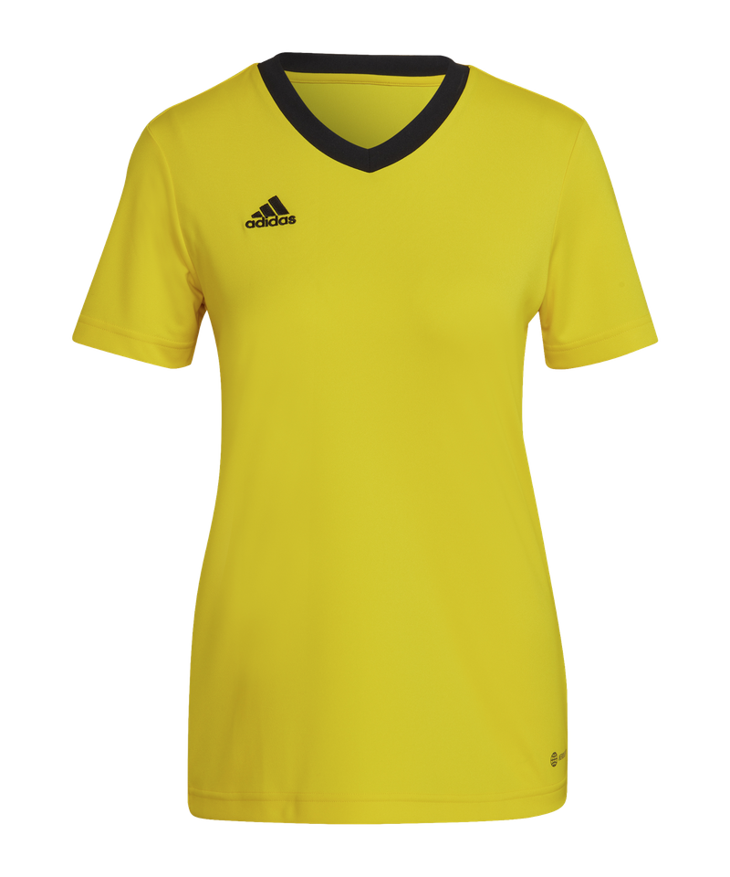 Adidas 2024 entrada jersey