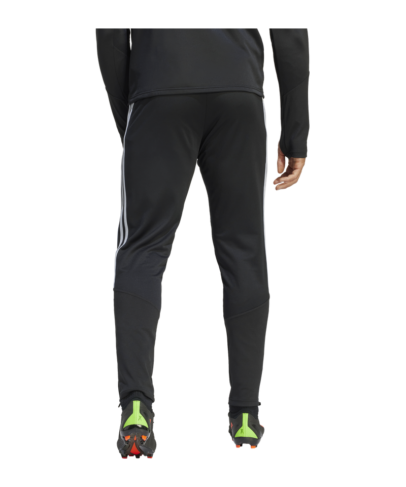 Adidas regista pants online