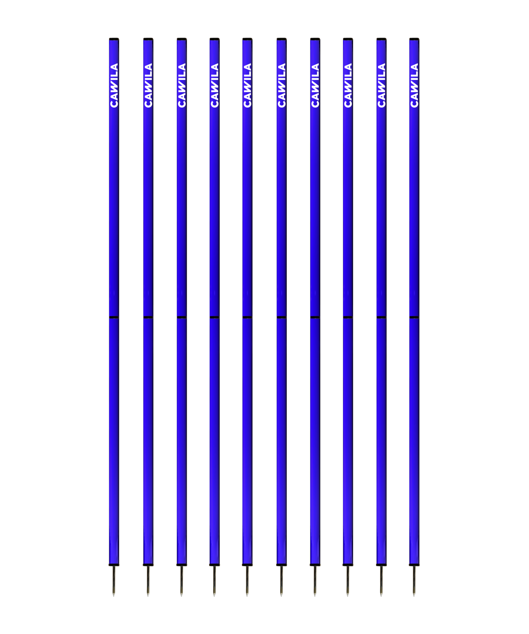 Cawila Academy Slalomstangen 10 Set (33mmx170cm) - Blue